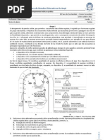 Teste1BG11V1 1213