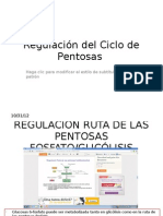 Regulación Del Ciclo de Pentosas