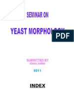 Seminar On Yeast Morphology