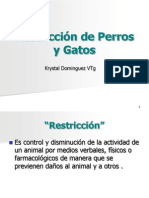 PROFA. K. DOMINGUEZ AVET 110 11. Restriccion de Perros y Gatos