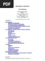 Dna Replication