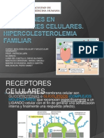 Desórdenes en Receptores Celulares