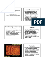 20 - Fisiologia de La Reproduccion en El Macho