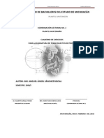 Cuaderno de Ejercicios en Apoyo A Temas Selectos de Fisica II