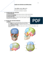 Anatomia - Sistema Articular