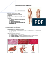 Anatomia - Sistema Muscular