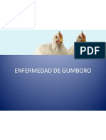 Enfermedad de Gumboro