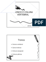 Biomecanica Do Tronco e Coluna