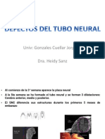 JDGC Defecto Tubo Neural