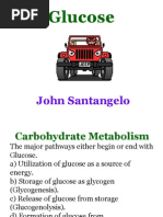 Glucose John Santangelo