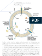 1 Apostila de Biologia Específica UERJ 2013 (Membrana Plasmática)