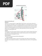 Anatomy and Physiology Breast