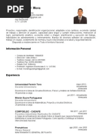 CV Miguel Angel Mora