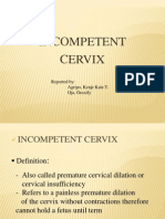 Incompetent Cervix As One of The Antenatal Complications