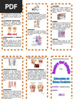 Triptico - Enfermedades Del Sistema Circulatorio