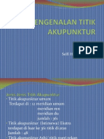 Titik Akupuntur