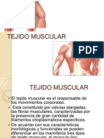 Tejido Muscular Expo