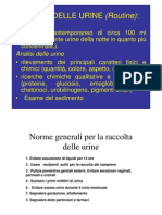 Esame Delle Urine