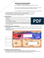 Electrolyte Homeostasis