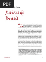 Raizes Do Brasil