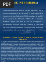 Fase Intermedia y de Juicio en El Procedimiento Ordinario Venezolano