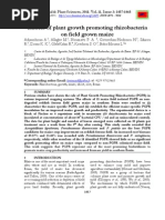 Effects of Plant Growth Promoting Rhizobacteria On Field Grown Maize