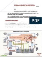 Circulacion Extracorporea