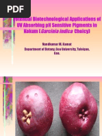 A UV Radiation-Absorbing Pigment From Kokum (Garcinia Indica) Juice