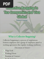 Collective Bargaining of Tea Company