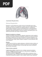 Anatomia Respiratória