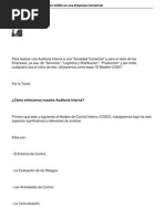 Auditoria Interna Basada en Coso en Una Empresa Comercial