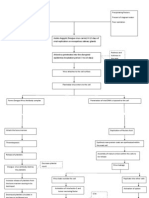 Dengue Hemorrhagic Fever Pathophysiology