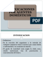 Intoxicacion Domestica