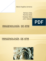 Imagenologia de La Atm