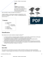 Adaptive Radiation - Wikipedia