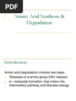 Amino Acid Synthesis & Degradation