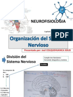 Neurofisiología