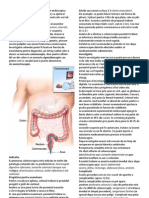 Medicina INFO