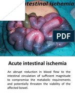 Acute Intestinal Ischemia