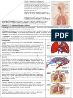 Ficha de Estudio Sistema Respiratorio 4