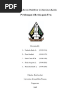 Laporan Uji Spesimen Klinik-Urin