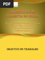 Trabalho Colheita e Pós Colheita de Milho