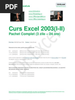 Curs Excel 2003