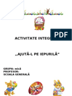 Proiect Activitate Integrata