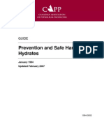 Guideline For Prevention and Safe Handling of Hydrates