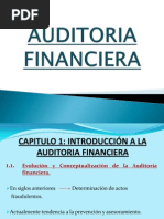 Auditoria Financiera