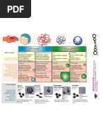 Standard Model