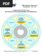 Best Practices in Bearing Maint & Reliability