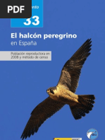 Alcon Peregrino España