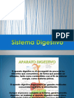 Fisiologia Del Sistema Digestivo